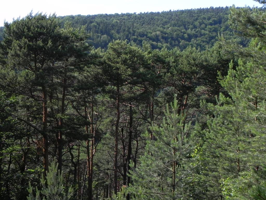 clic ici pour suivante