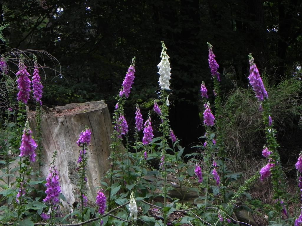 clic ici pour suivante