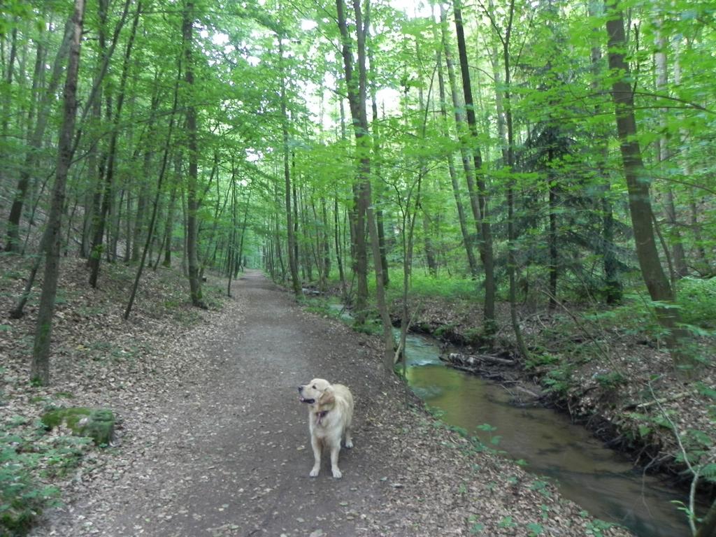 clic ici pour suivante