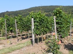 Clic pour agrandir l'image (1024x768 pixels; 217 KB)