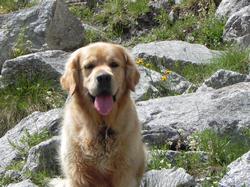 Clic pour agrandir l'image (1024x768 pixels; 207 KB)