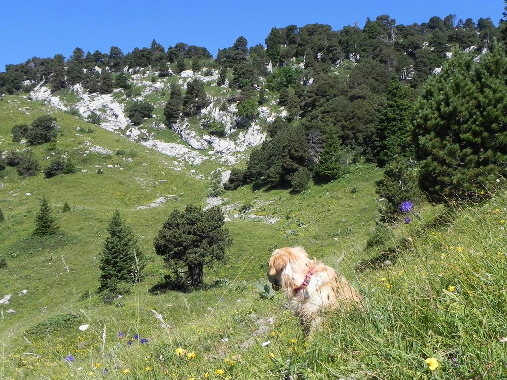 clic ici pour suivante