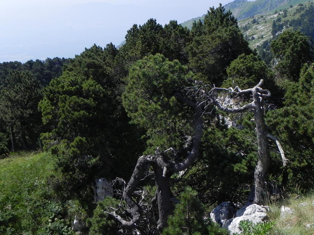 clic ici pour suivante