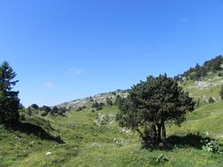 Clic pour agrandir l'image (1024x768 pixels; 122 KB)