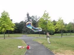 Clic pour agrandir l'image (1024x768 pixels; 125 KB)