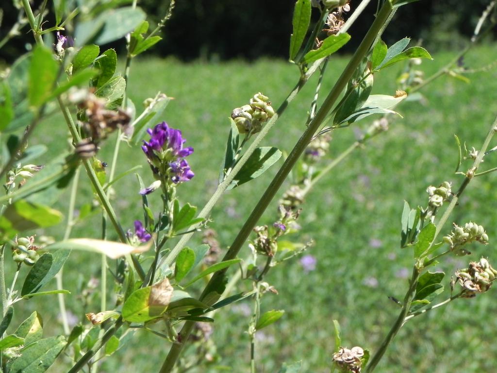 clic ici pour suivante