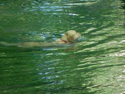 Clic pour agrandir l'image (1024x768 pixels; 127 KB)