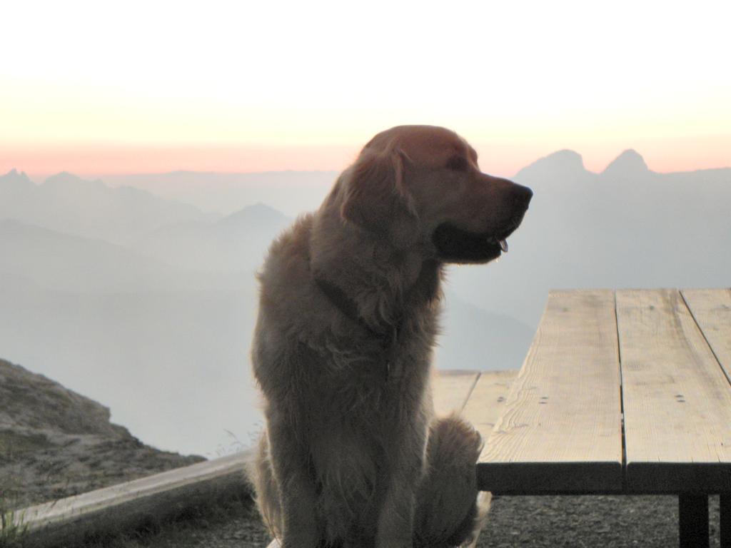 clic ici pour suivante