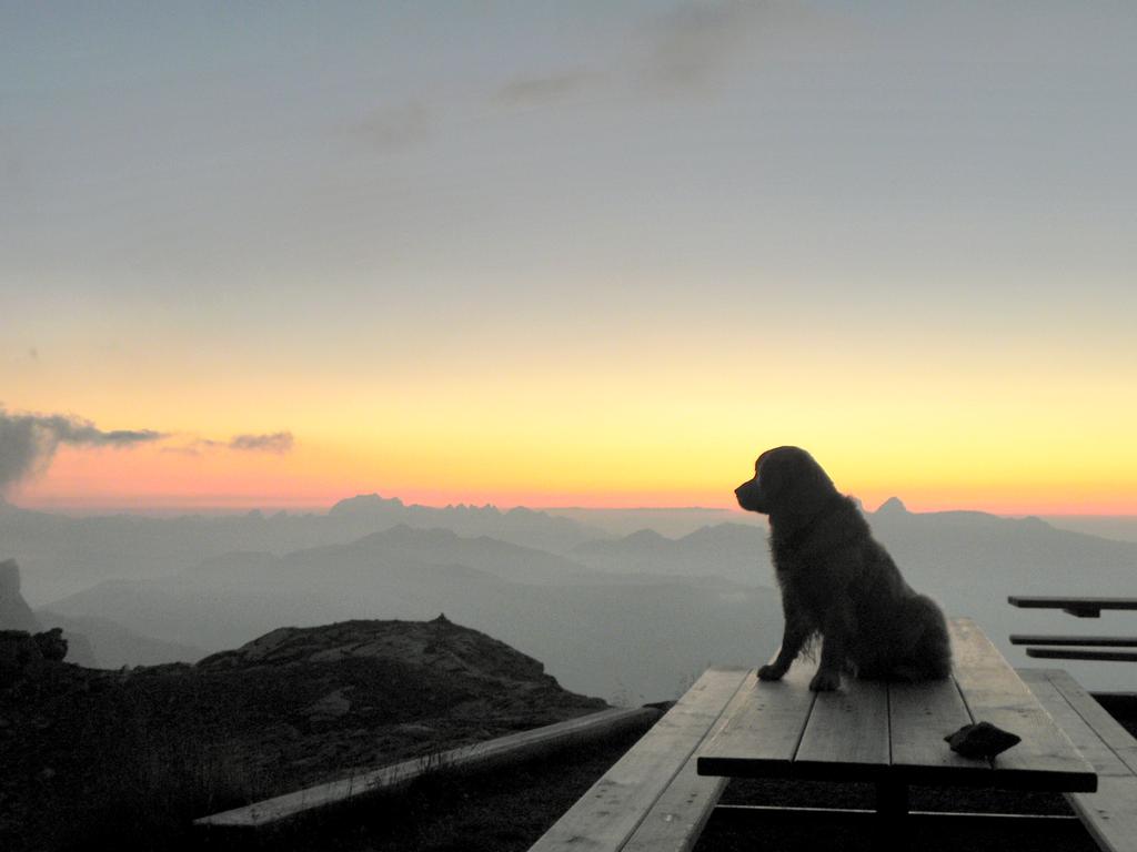 clic ici pour suivante