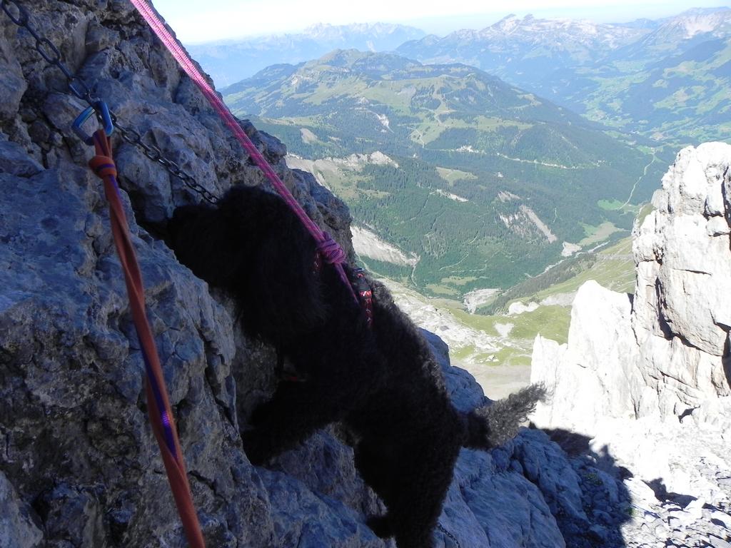 clic ici pour suivante