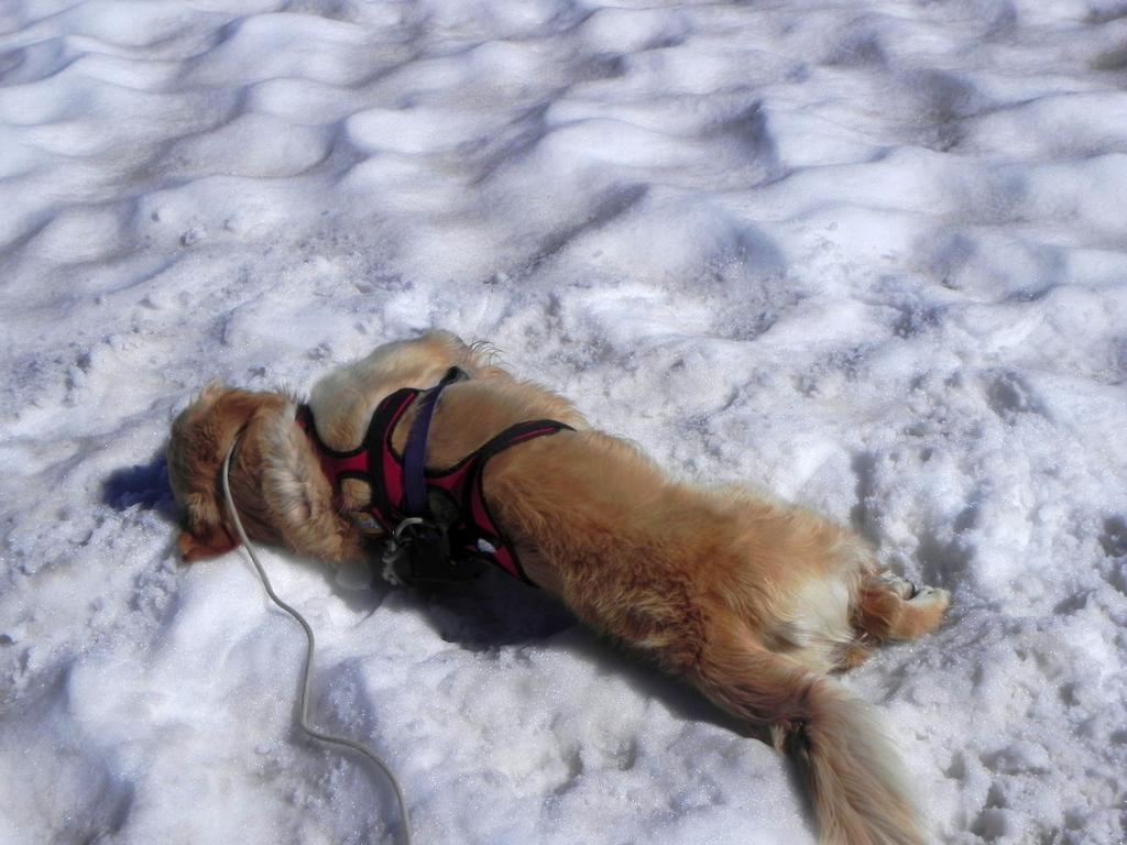 clic ici pour suivante