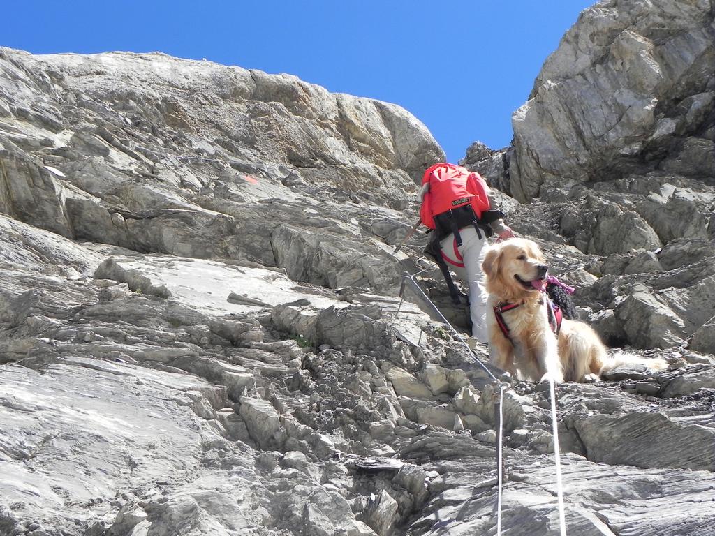 clic ici pour suivante