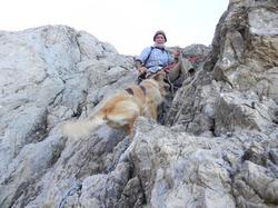 Clic pour agrandir l'image (1024x768 pixels; 153 KB)