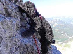 Clic pour agrandir l'image (1024x768 pixels; 129 KB)