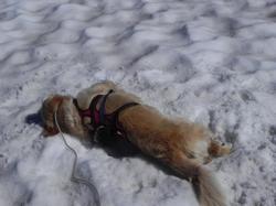 Clic pour agrandir l'image (1024x768 pixels; 84 KB)