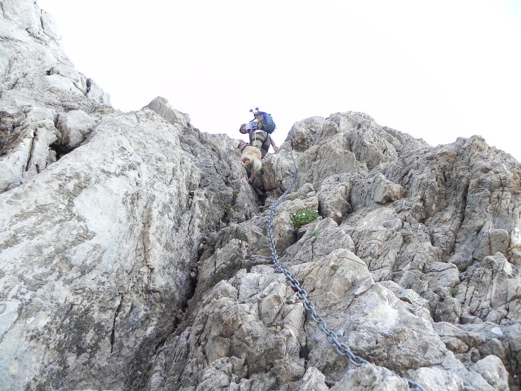 clic ici pour suivante