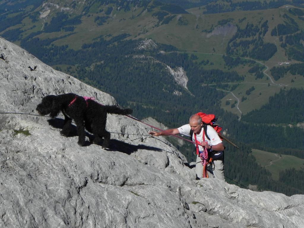 clic ici pour suivante