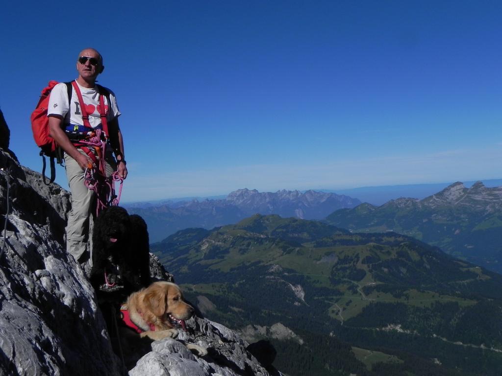 clic ici pour suivante