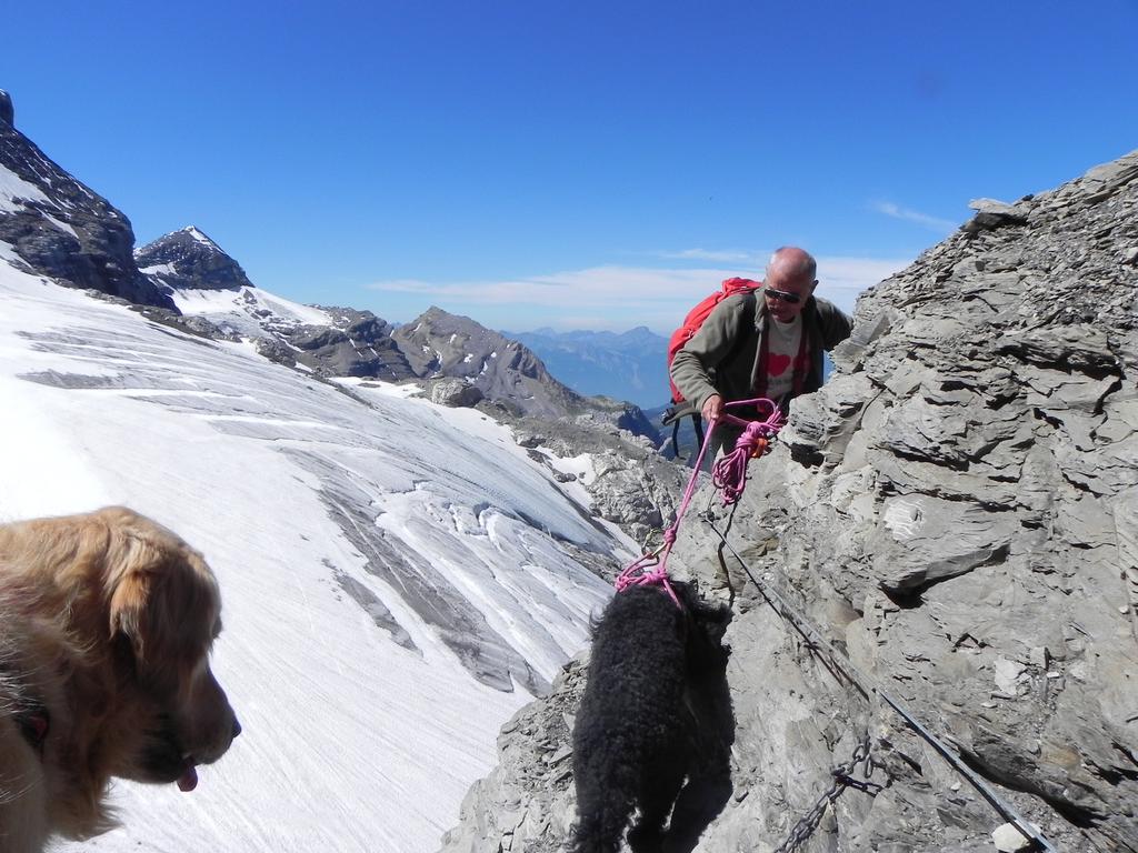 clic ici pour suivante