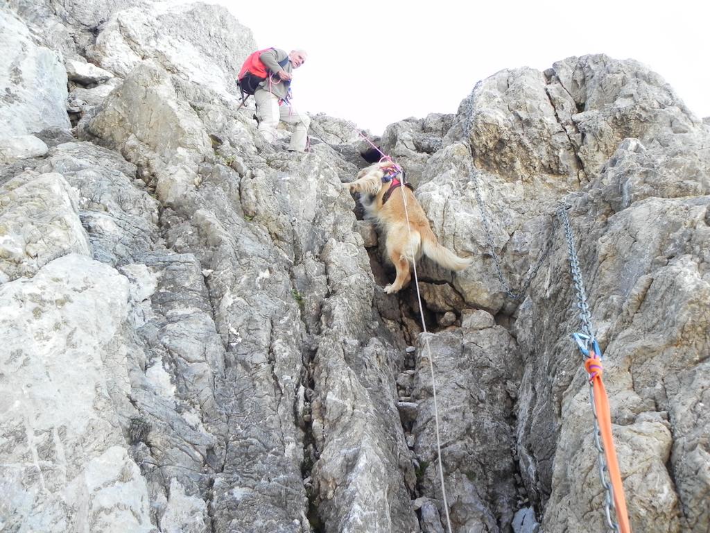 clic ici pour suivante