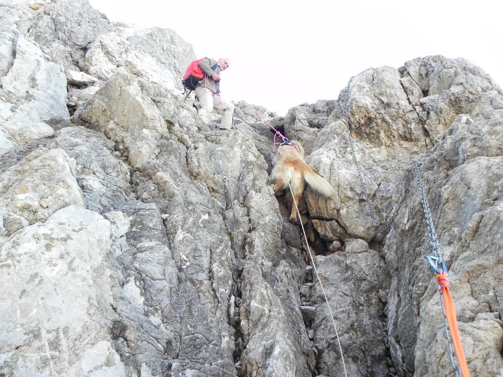 clic ici pour suivante