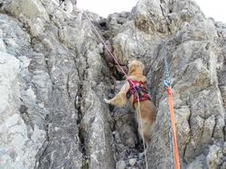 Clic pour agrandir l'image (1024x768 pixels; 208 KB)