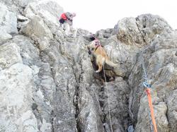 Clic pour agrandir l'image (1024x768 pixels; 178 KB)