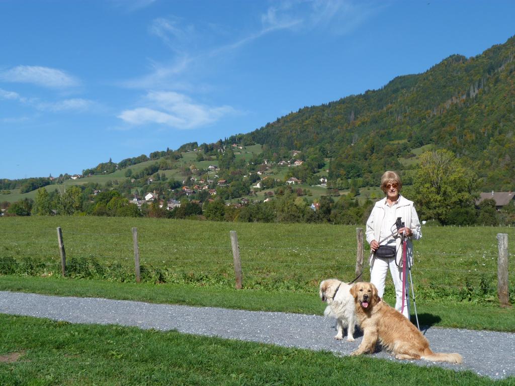 clic ici pour suivante