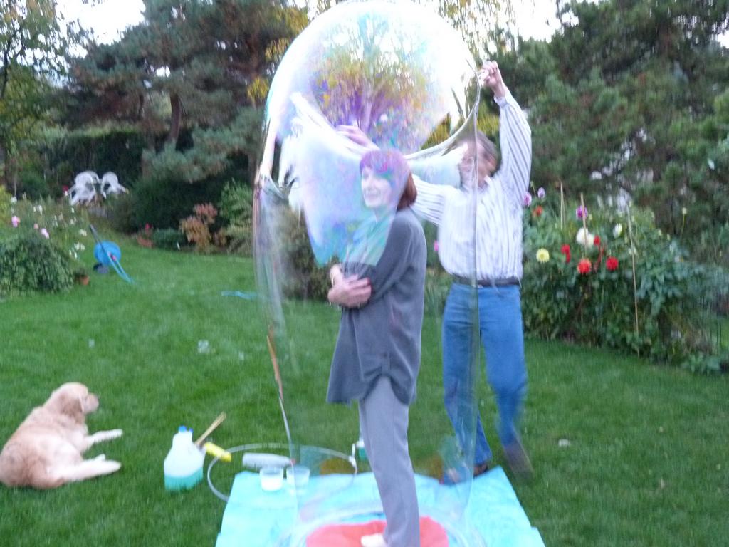 clic ici pour suivante