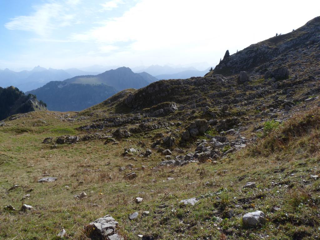 clic ici pour suivante