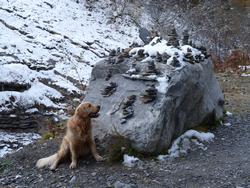 Clic pour agrandir l'image (1024x768 pixels; 207 KB)