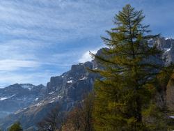 Clic pour agrandir l'image (1024x768 pixels; 120 KB)