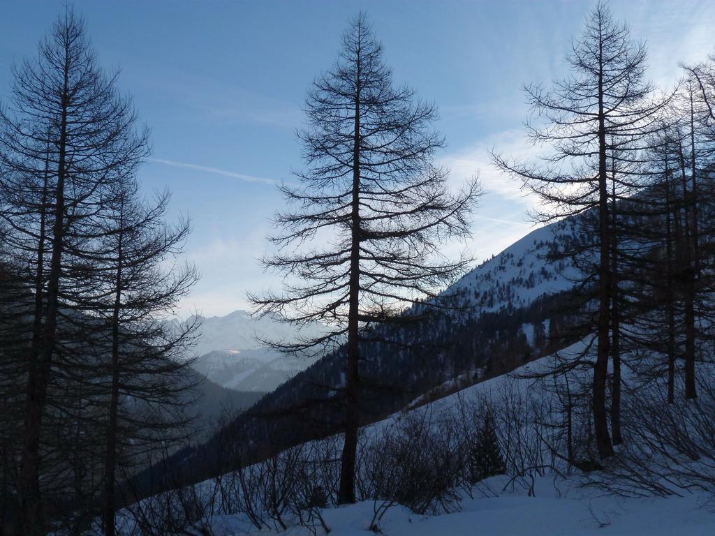 Cliqeu pour voir l'image suivante