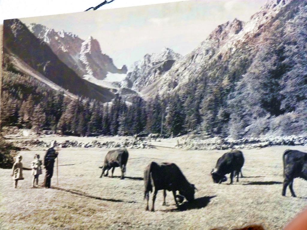 Cliqeu pour voir l'image suivante