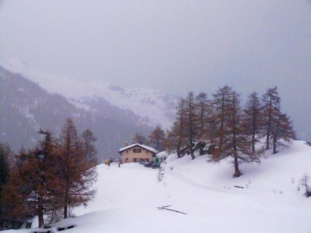 Cliqeu pour voir l'image suivante