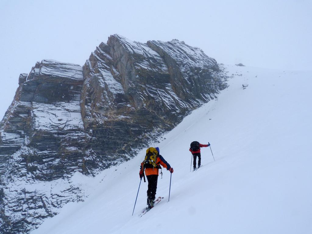 Cliqeu pour voir l'image suivante