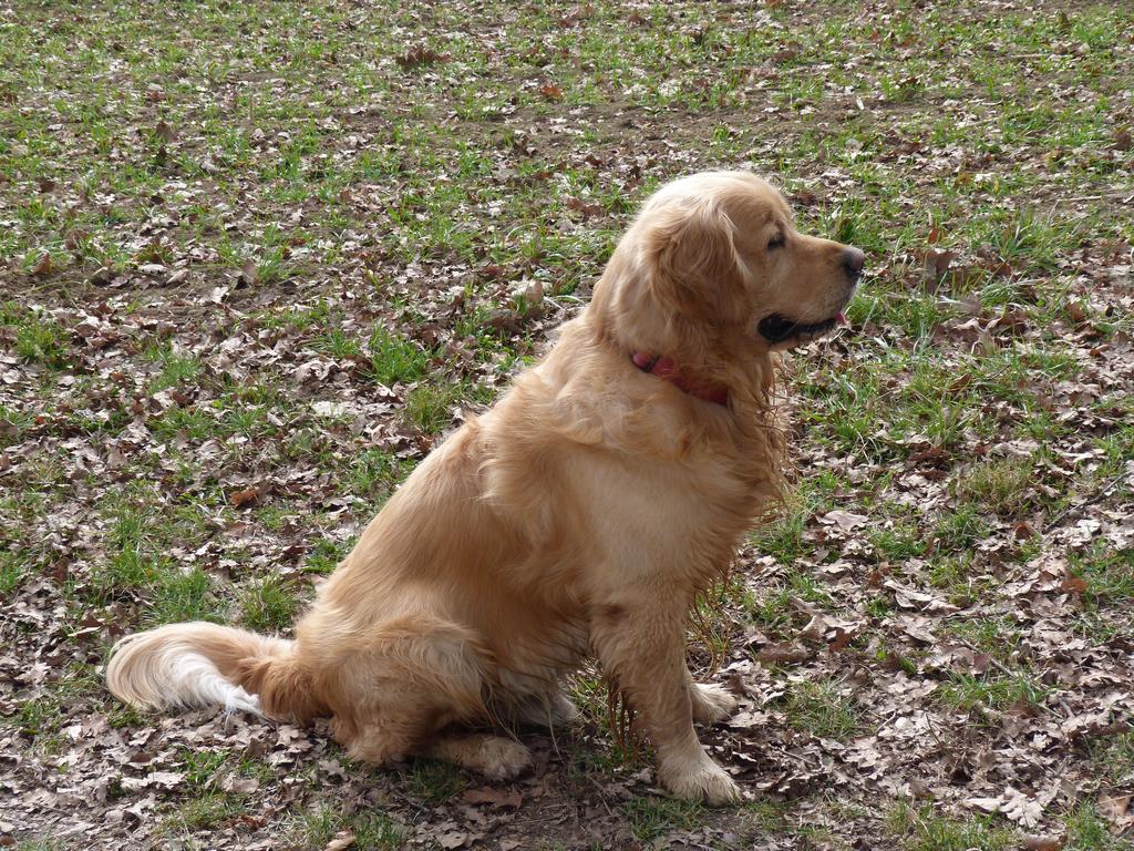 Cliqeu pour voir l'image suivante