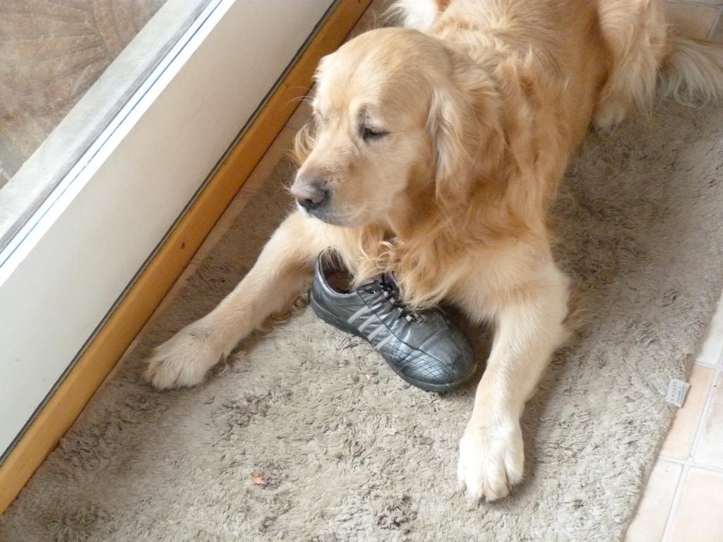 Cliqeu pour voir l'image suivante