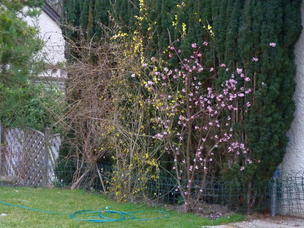 Cliqeu pour voir l'image suivante