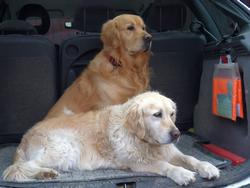 Clic pour agrandir l'image (1024x768 pixels; 88 KB)