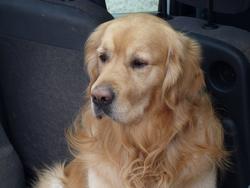 Clic pour agrandir l'image (1024x768 pixels; 80 KB)