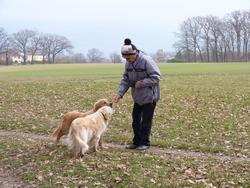 Clic pour agrandir l'image (1024x768 pixels; 184 KB)