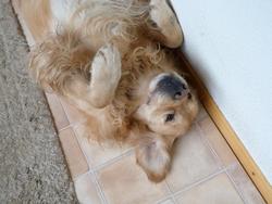 Clic pour agrandir l'image (1024x768 pixels; 109 KB)