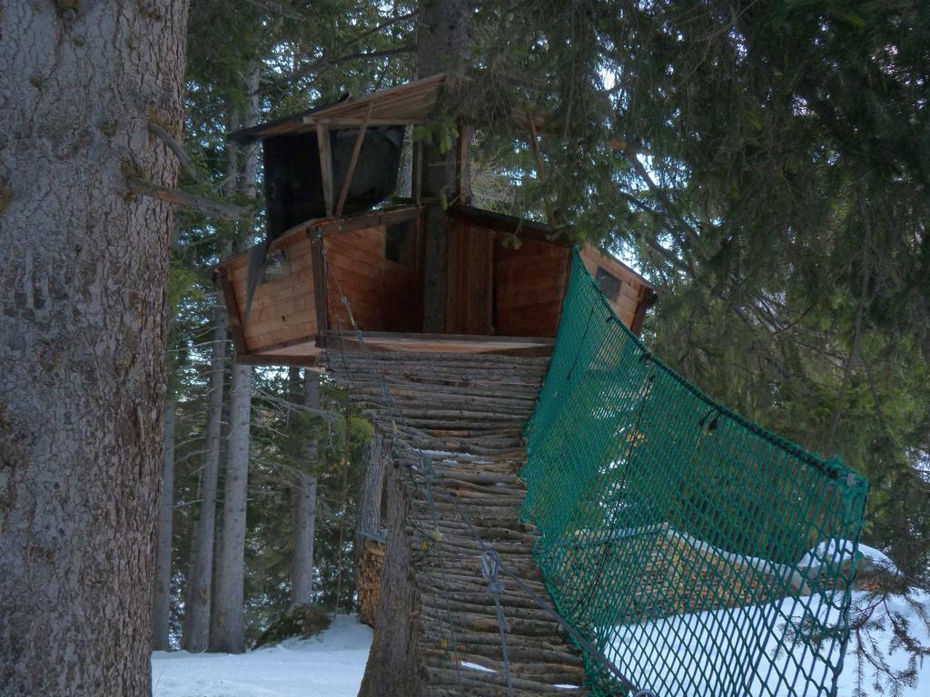 Cliqeu pour voir l'image suivante