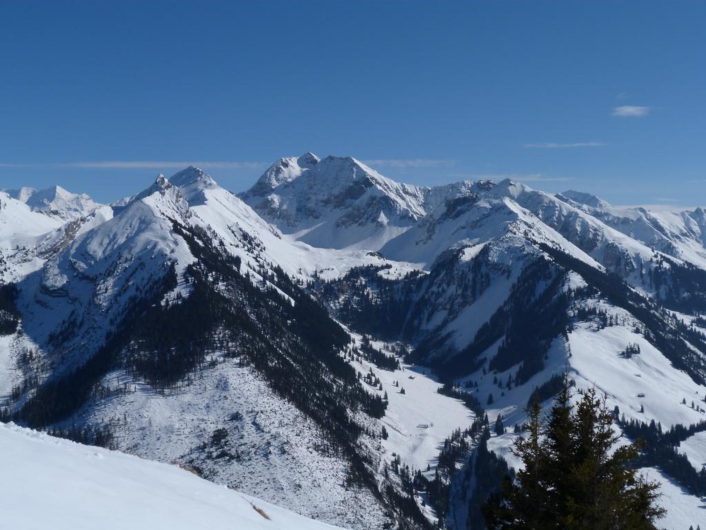 Cliqeu pour voir l'image suivante