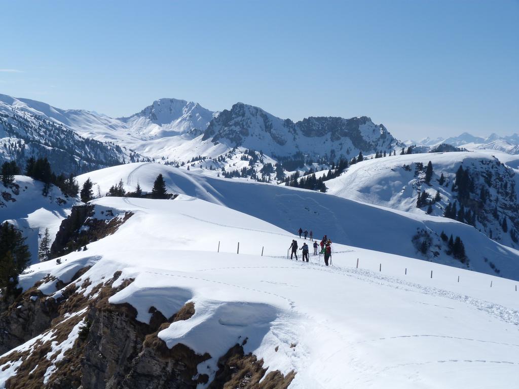 Cliqeu pour voir l'image suivante