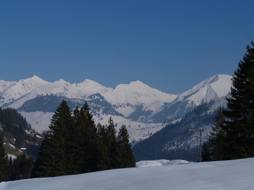 Cliqeu pour voir l'image suivante