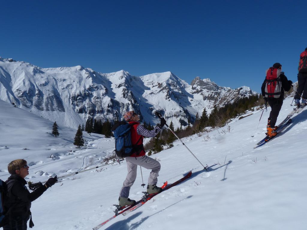 Cliqeu pour voir l'image suivante