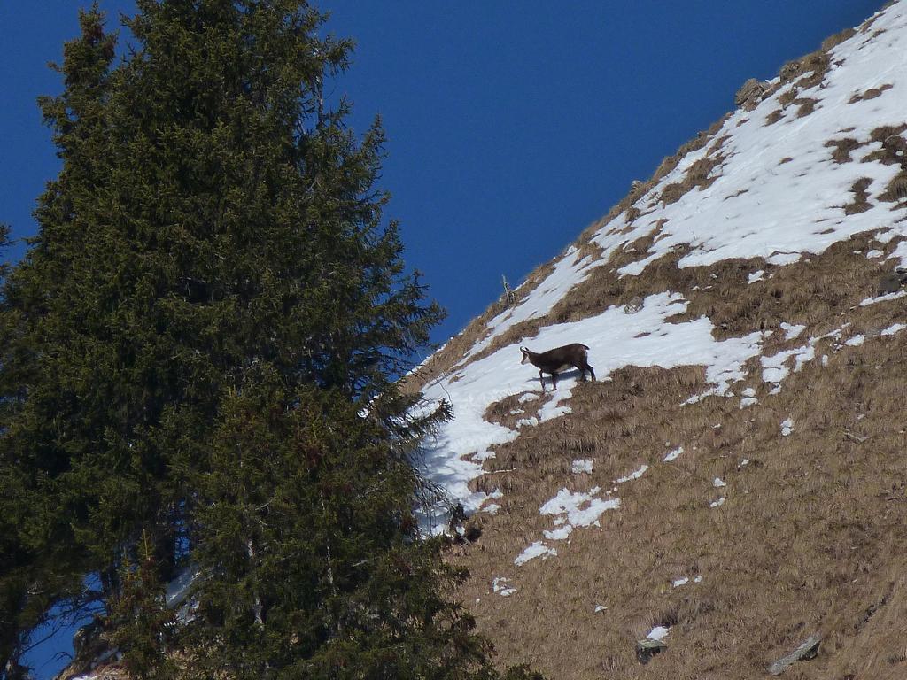 Cliqeu pour voir l'image suivante