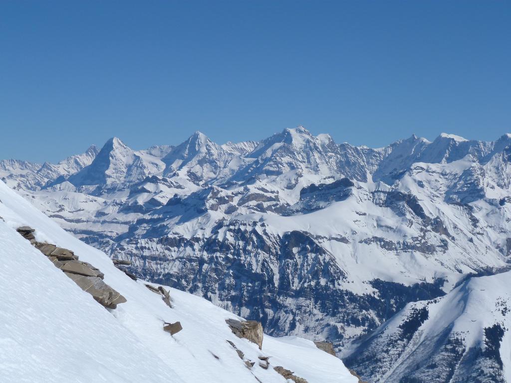 Cliqeu pour voir l'image suivante